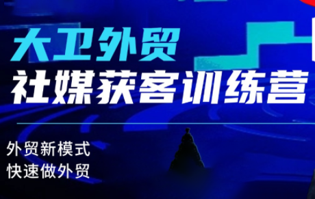 大卫老师·外贸社媒获客独家训练营(更新10月)-学长网络