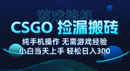 8月最新游戏搬砖，CSGO纯挂G，不需要玩游戏，实现真挂G，月入1W+【揭秘】-学长网络