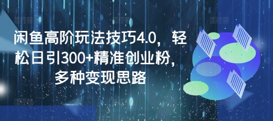 闲鱼高阶玩法技巧4.0，轻松日引300+精准创业粉，多种变现思路-学长网络