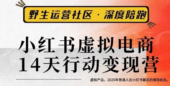 小红书虚拟电商14天变现训练营3.0，​虚拟产品，2025年普通人在小红书最后的搞钱机会-学长网络