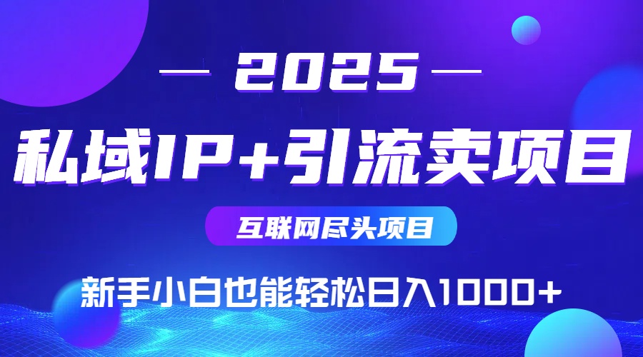 2025网创尽头项目,私域IP+引流,新手小白也能在家日入1000+-学长网络