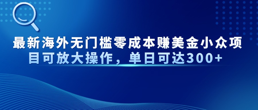 最新海外无门槛零成本赚美金小众项目可放大操作，单日可达300+-学长网络