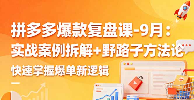 拼多多爆款复盘课-9月：实战案例拆解+野路子方法论，快速掌握爆单新逻辑-学长网络