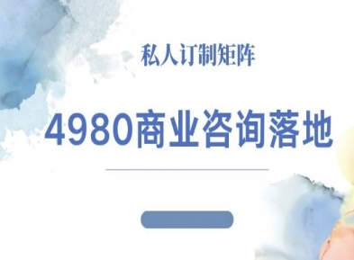 4980商业咨询师落地课程-ip运营高客单教程-学长网络