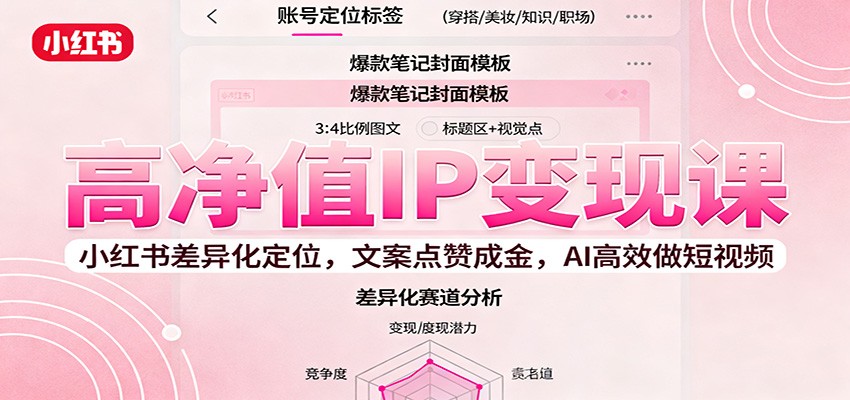 高净值IP变现课：小红书差异化定位，文案点赞成金， AI高效做短视频-学长网络