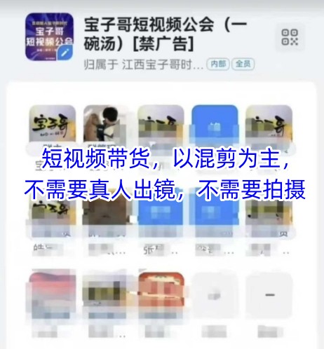 宝子哥头部团队短视频带货，以混剪为主，不需要真人出镜，不需要拍摄【更新9月】-学长网络