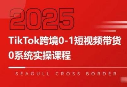大亿老师·TikTok跨境0-1短视频带货-学长网络
