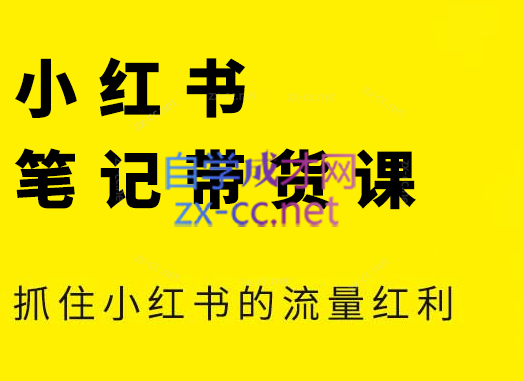 张宾·小红书笔记带货课(更新6月)-学长网络