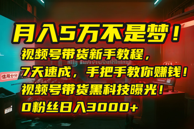 月入5万不是梦！视频号带货新手教程，7天速成，手把手教你赚钱！视频号...-学长网络