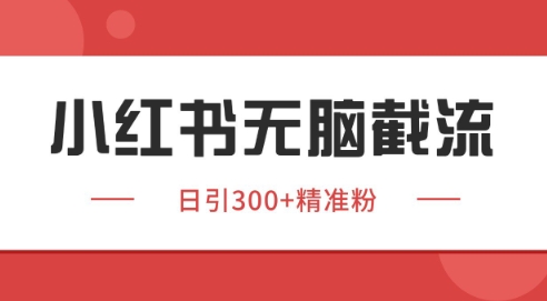 小红书截流同行客源，独家野路子获客玩法 日引200+暴力获客【揭秘】-学长网络