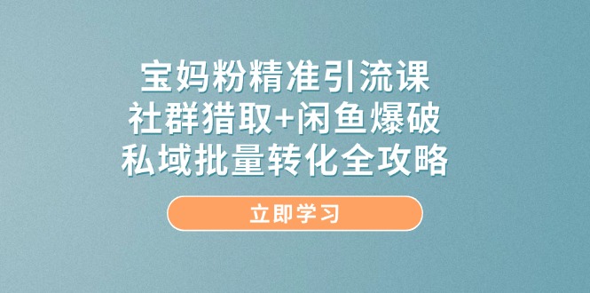 宝妈粉精准引流课,社群猎取+闲鱼爆破,私域批量转化全攻略-学长网络