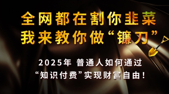 全网都在割你韭菜，我来教你做镰刀，2025普通人如何通过知识付费，实现财F自由【揭秘】-学长网络