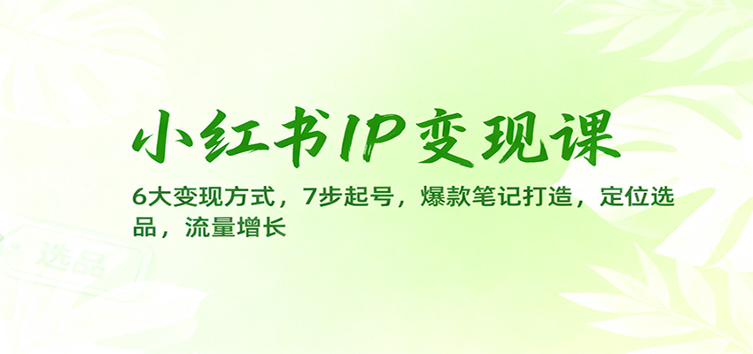 小红书IP变现课：6大变现方式，7步起号，爆款笔记打造，定位选品，流量增长-学长网络