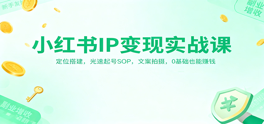 小红书IP变现实战课：定位搭建，光速起号SOP，文案拍摄，0基础也能赚钱-学长网络