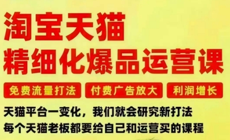 淘宝天猫精细化爆品运营课，免费流量打法-付费广告放大-利润增长-三大核心痛点，一次全部解决-学长网络