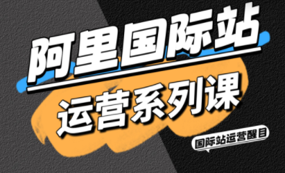 醒目老师·阿里国际站运营系列课(更新11月)-学长网络