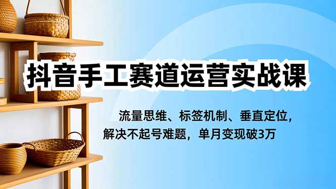 抖音手工赛道运营实战课，流量思维、标签机制、垂直定位，解决不起号难题，单月变现破3万-学长网络