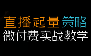 半野老师·直播带货起量与微付费必学课视频号-学长网络