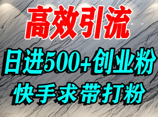 怎么打创业粉?快手求带视角精准引流创业粉,宝妈、学生群体日进500+精准流量-学长网络