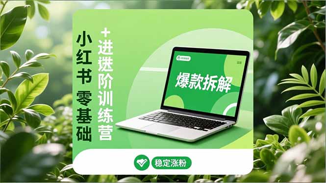 小红书零基础+高阶训练营：安全养号、爆款拆解、长效运营，实现稳定涨粉与变现-学长网络