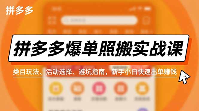 拼多多爆单照搬实战课，类目玩法、活动选择、避坑指南，新手小白快速出单赚钱-学长网络