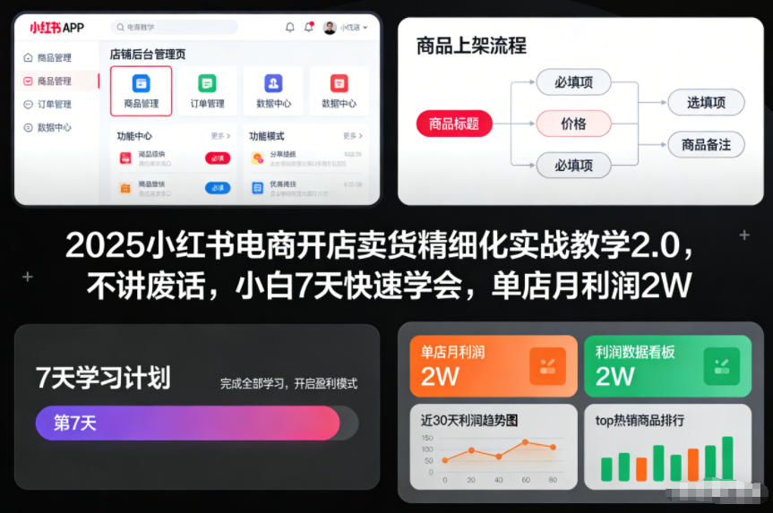 2025小红书电商开店卖货精细化实战教学2.0，不讲废话，小白7天快速学会，单店月利润2W-学长网络